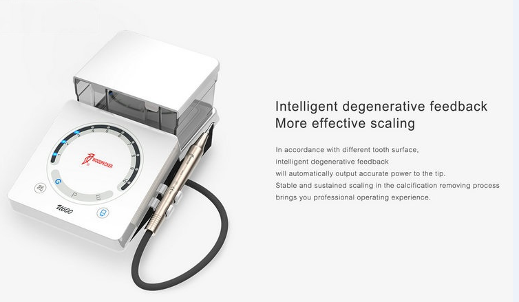 Portable Woodpecker Dental Equipment U600 Smart Painless LED Dental Ultrasonic Scaler